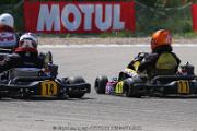 20110501_ales_agnus (2510)